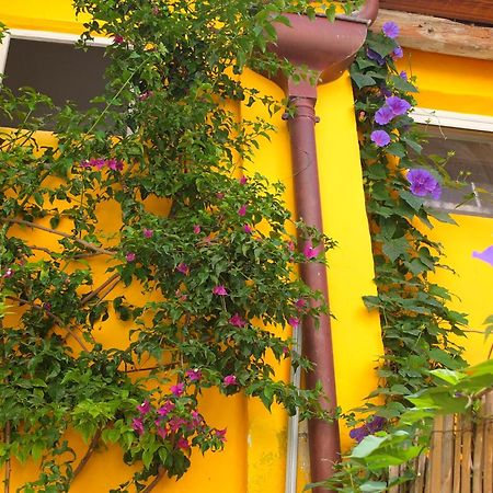 La Maison Jaune Sete Phòng bức ảnh