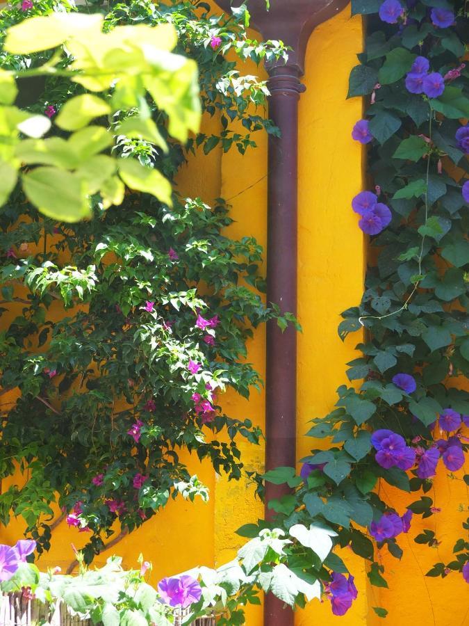 La Maison Jaune Sete Ngoại thất bức ảnh